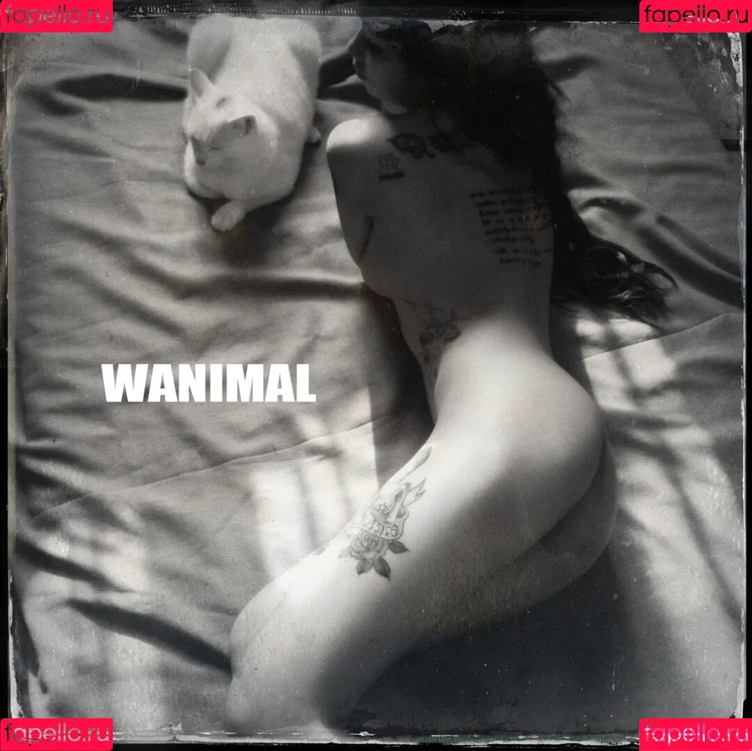 Wanimal Models Onlyfans Photo Gallery 