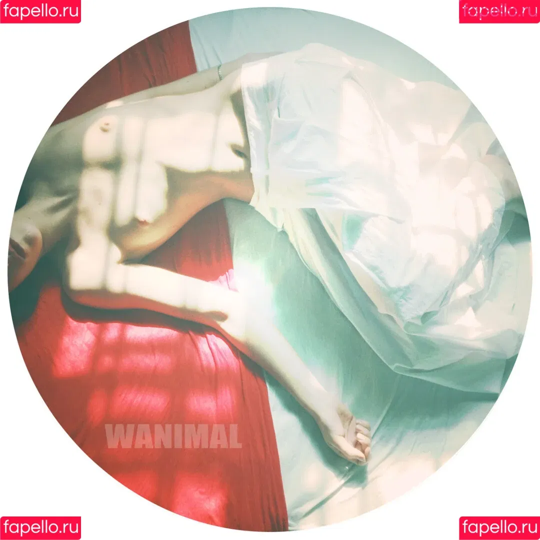Wanimal Models Onlyfans Photo Gallery 
