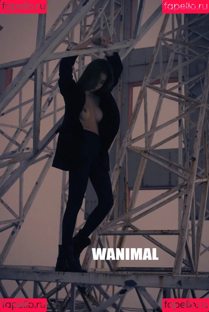 Wanimal Models Onlyfans Photo Gallery 