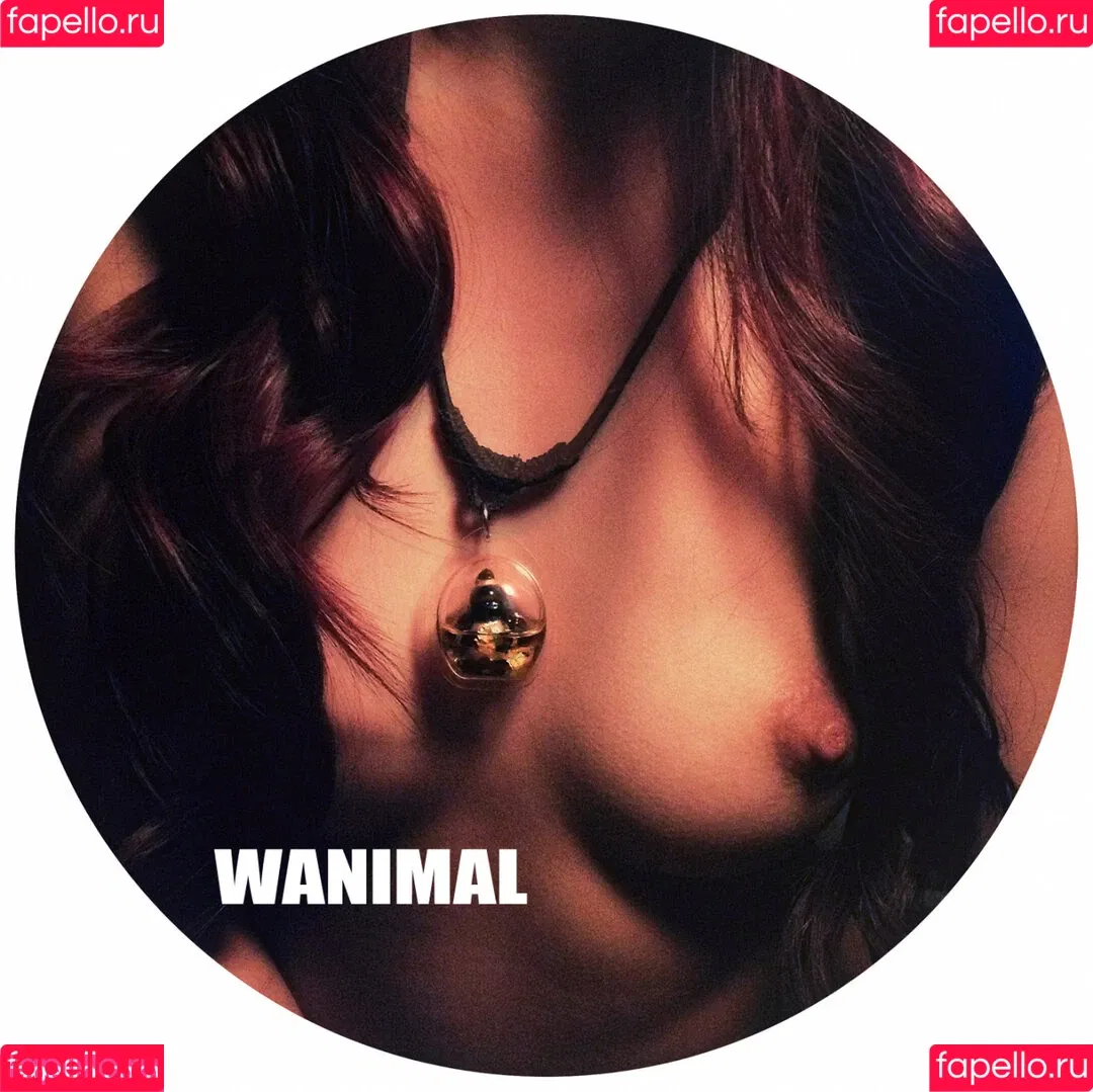 Wanimal Models Onlyfans Photo Gallery 