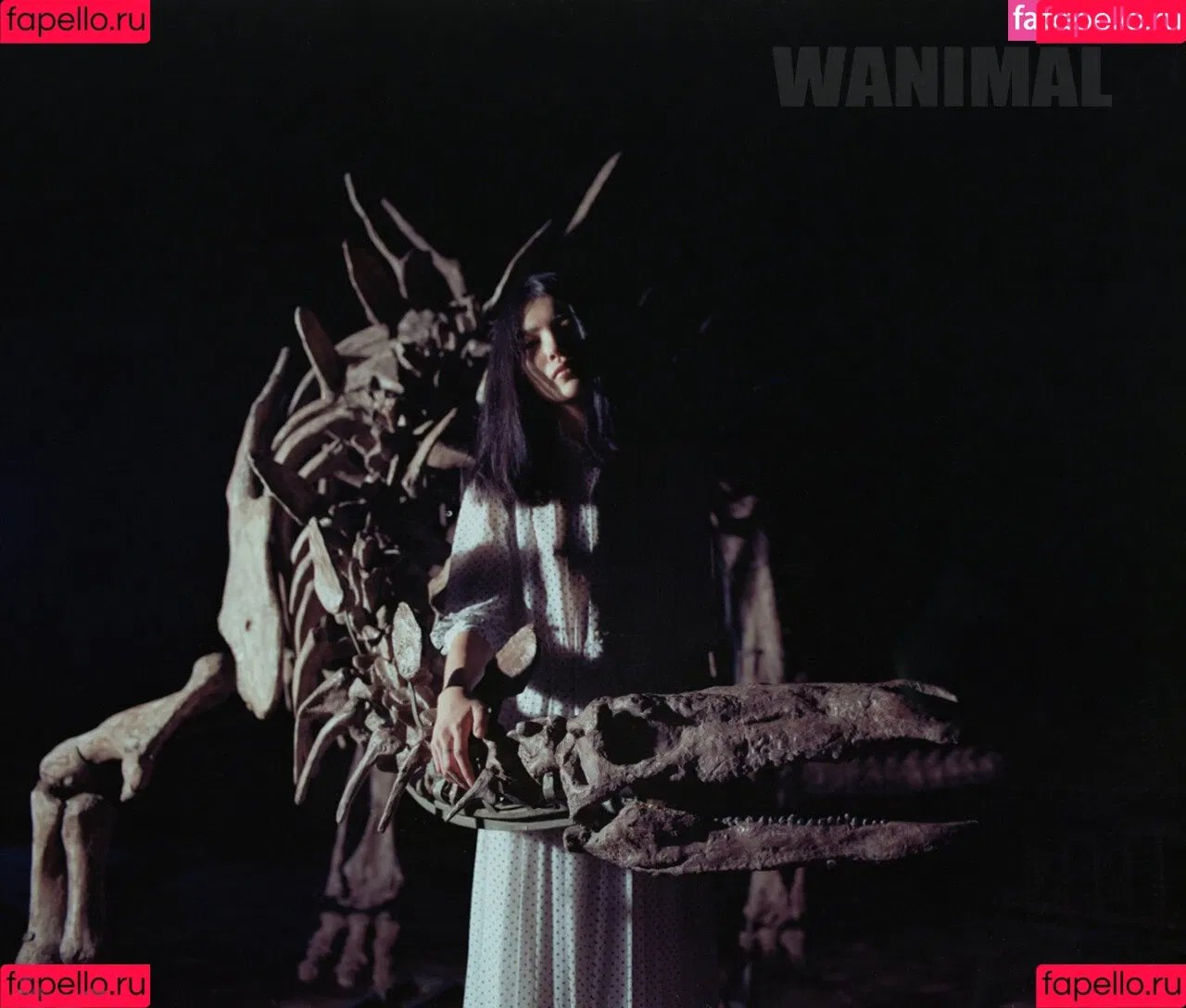 Wanimal Models Onlyfans Photo Gallery 