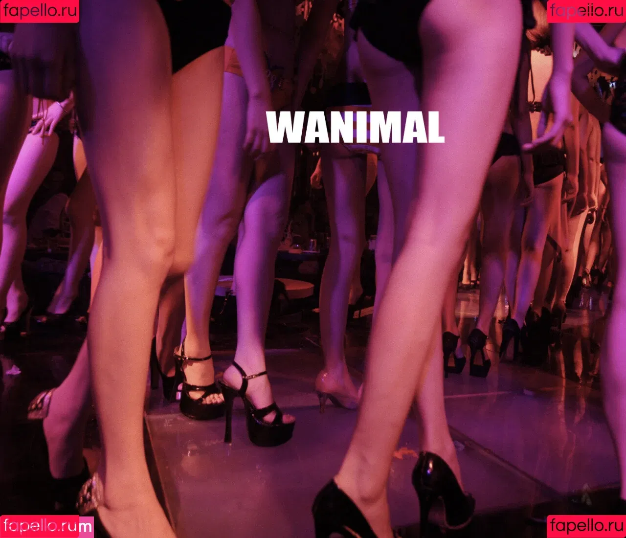 Wanimal Models Onlyfans Photo Gallery 