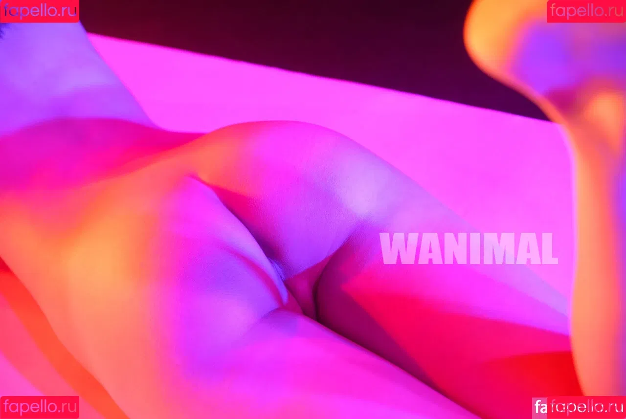 Wanimal Models Onlyfans Photo Gallery 