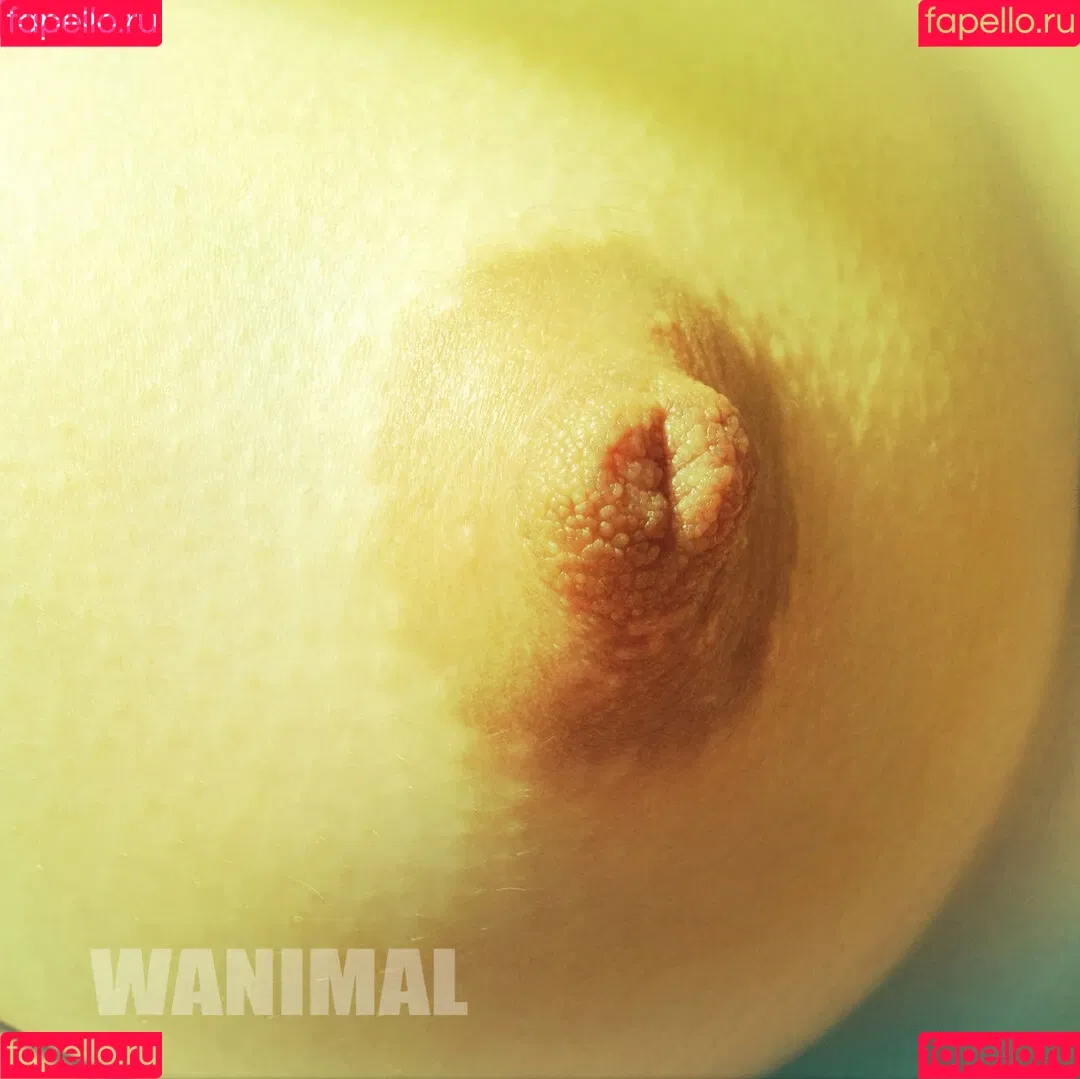 Wanimal Models Onlyfans Photo Gallery 