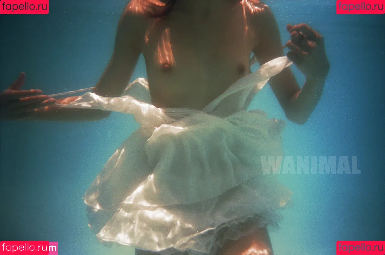 Wanimal Models Onlyfans Photo Gallery 