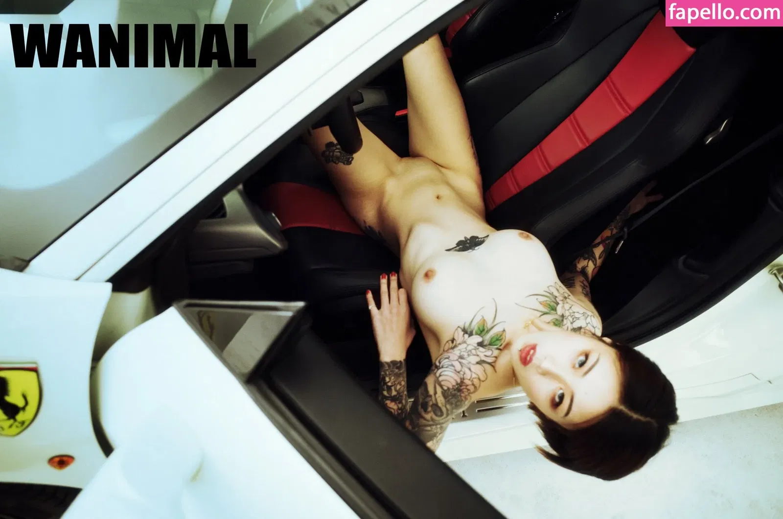 Wanimal Models Onlyfans Photo Gallery 