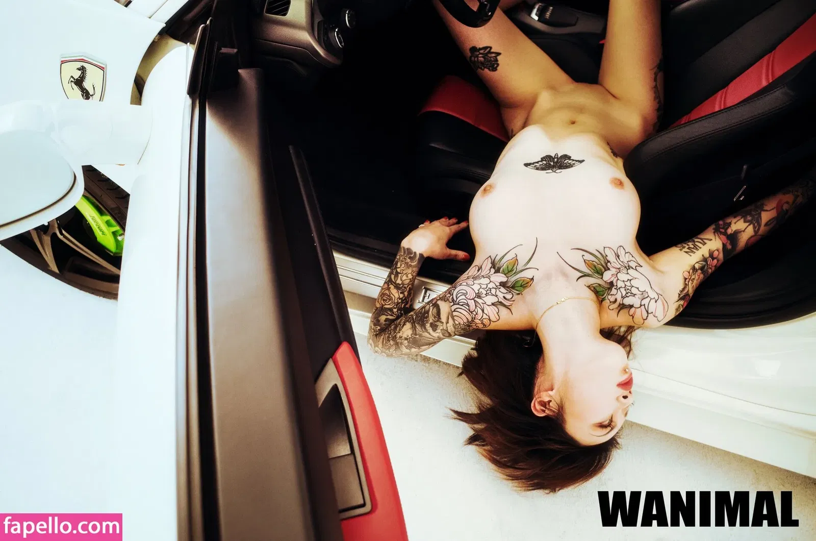 Wanimal Models Onlyfans Photo Gallery 