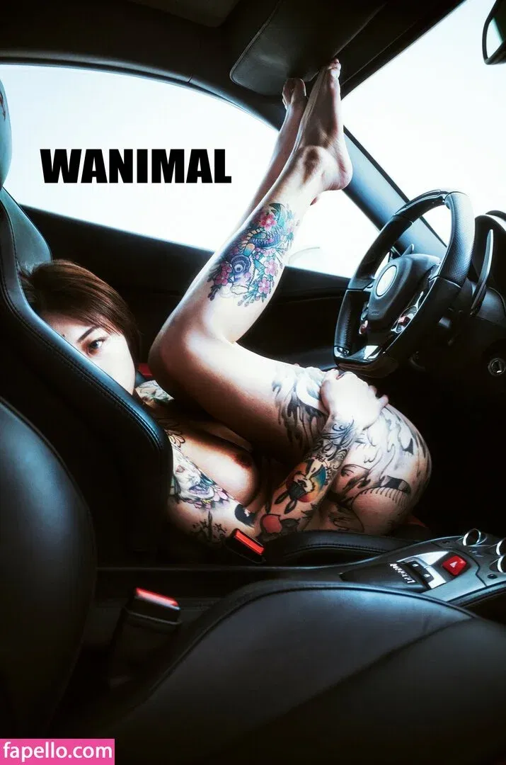 Wanimal Models Onlyfans Photo Gallery 
