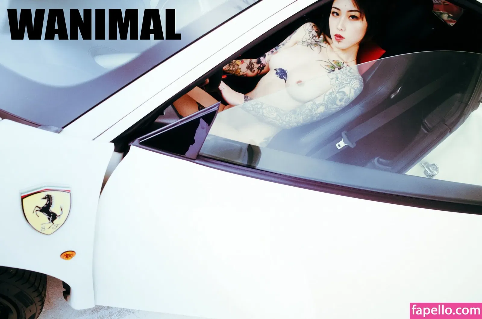 Wanimal Models Onlyfans Photo Gallery 