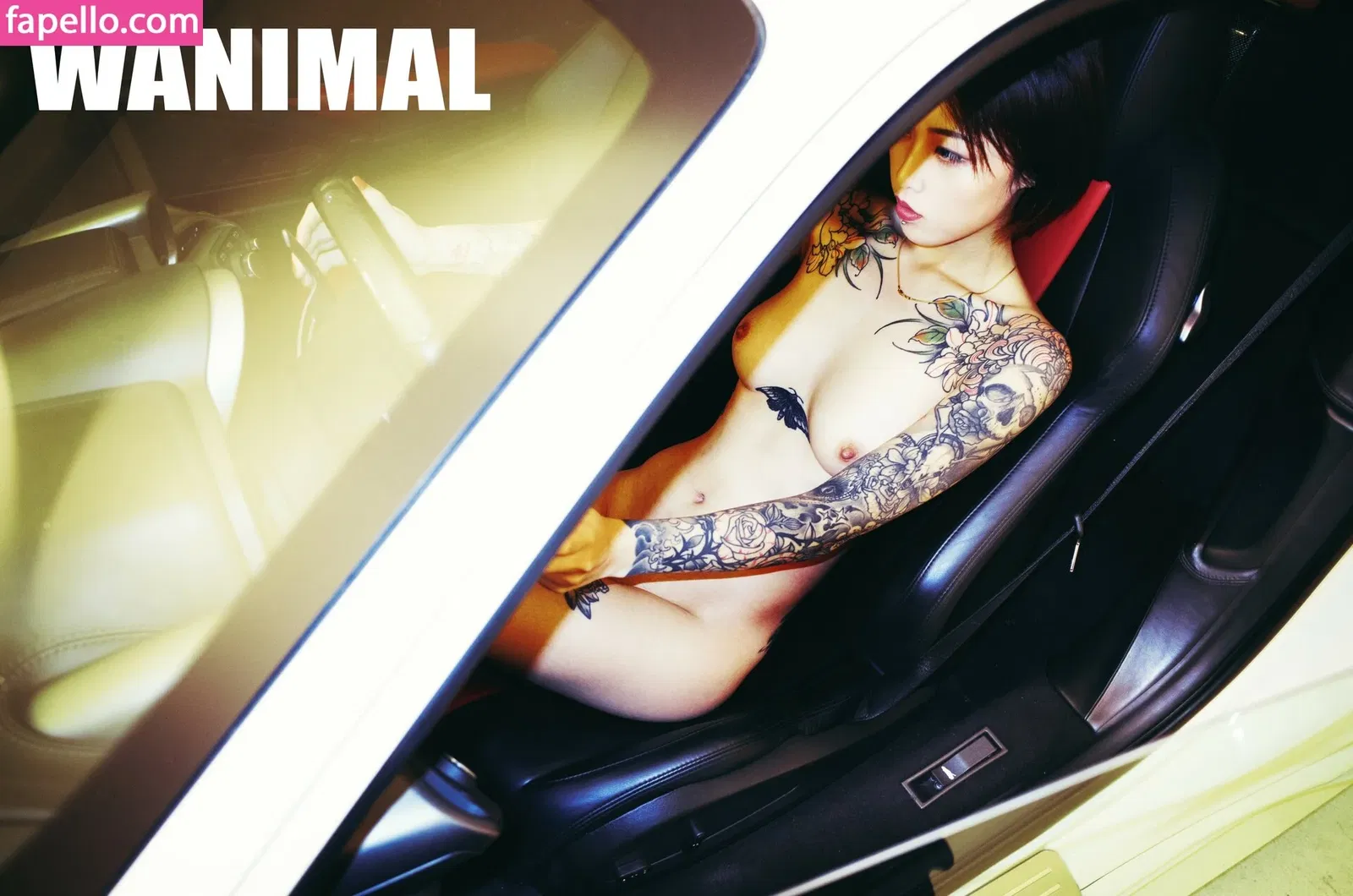 Wanimal Models Onlyfans Photo Gallery 