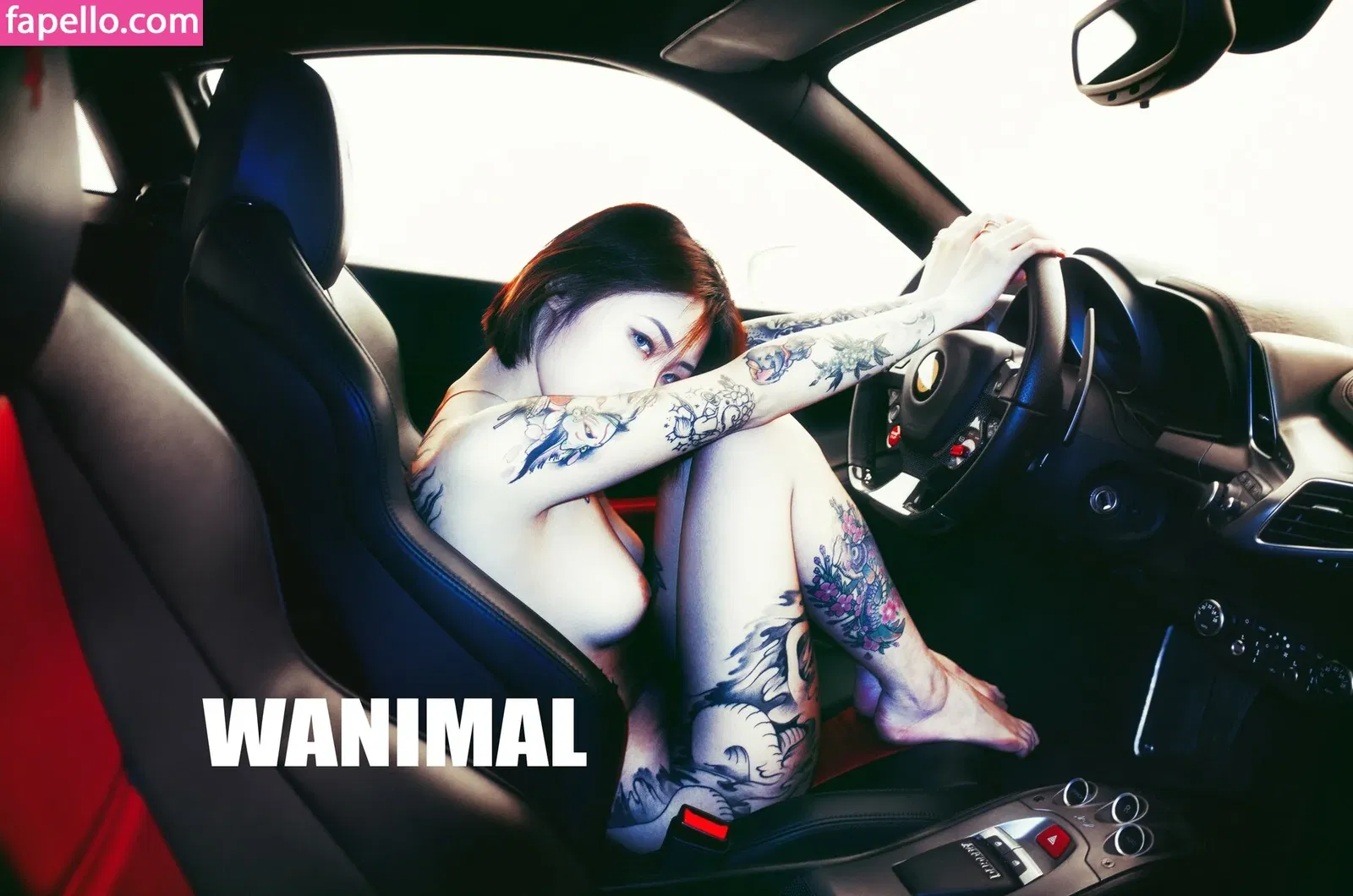 Wanimal Models Onlyfans Photo Gallery 