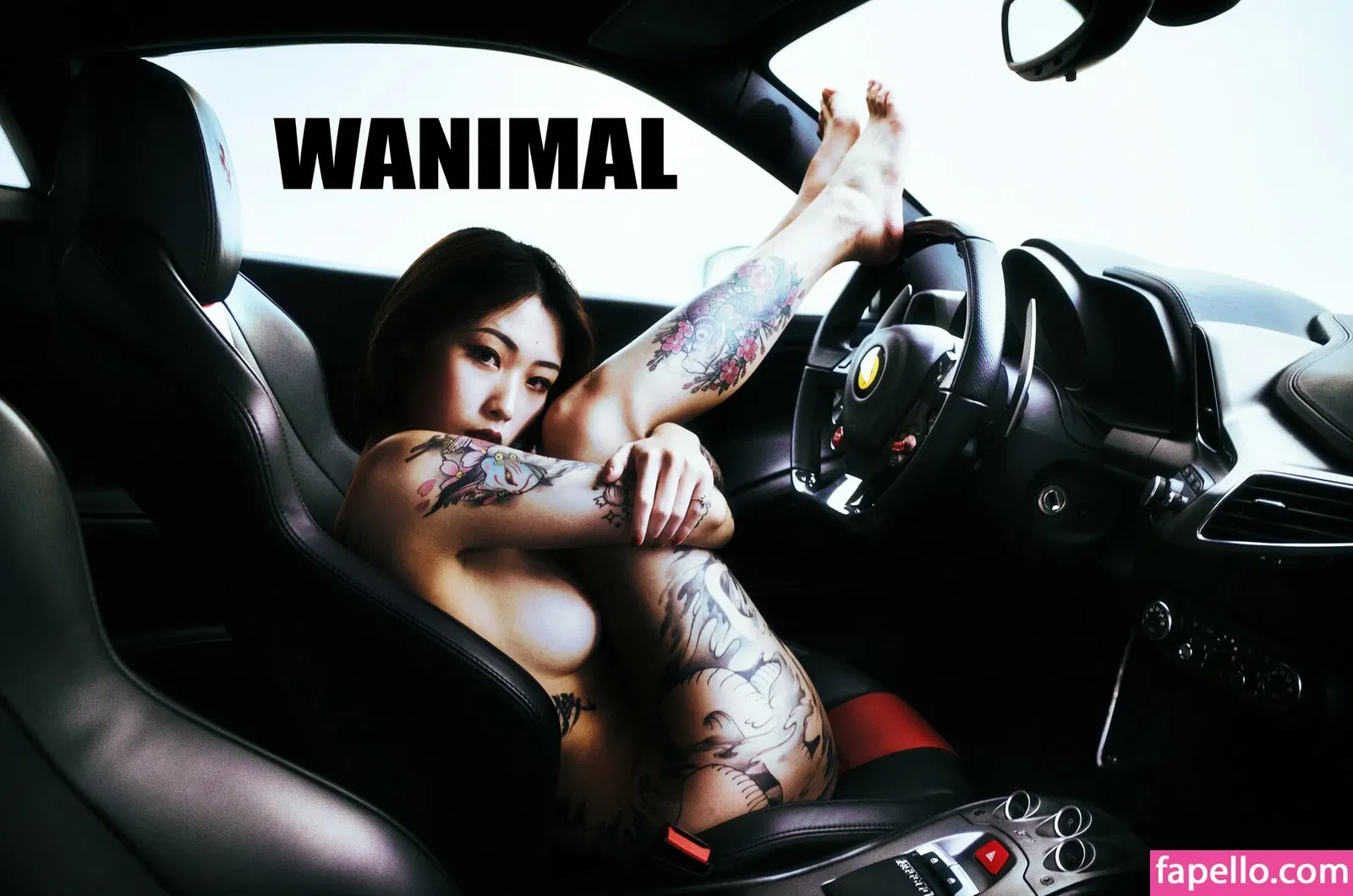 Wanimal Models Onlyfans Photo Gallery 