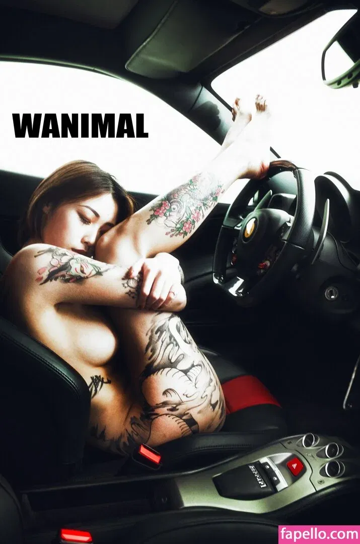 Wanimal Models Onlyfans Photo Gallery 