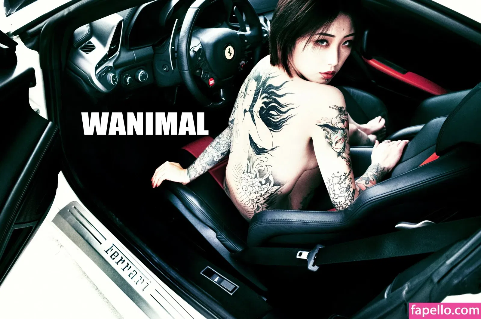 Wanimal Models Onlyfans Photo Gallery 