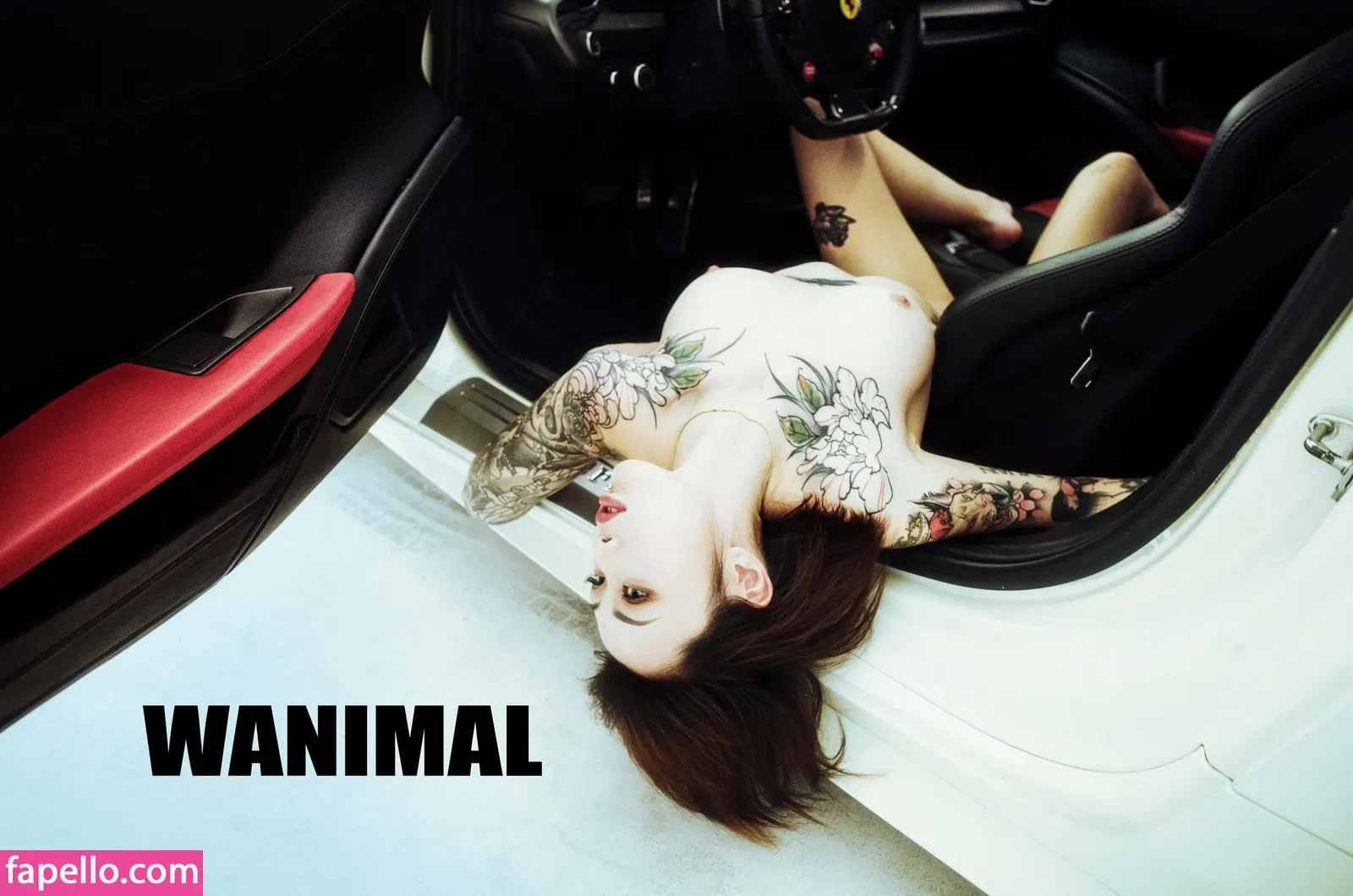 Wanimal Models Onlyfans Photo Gallery 