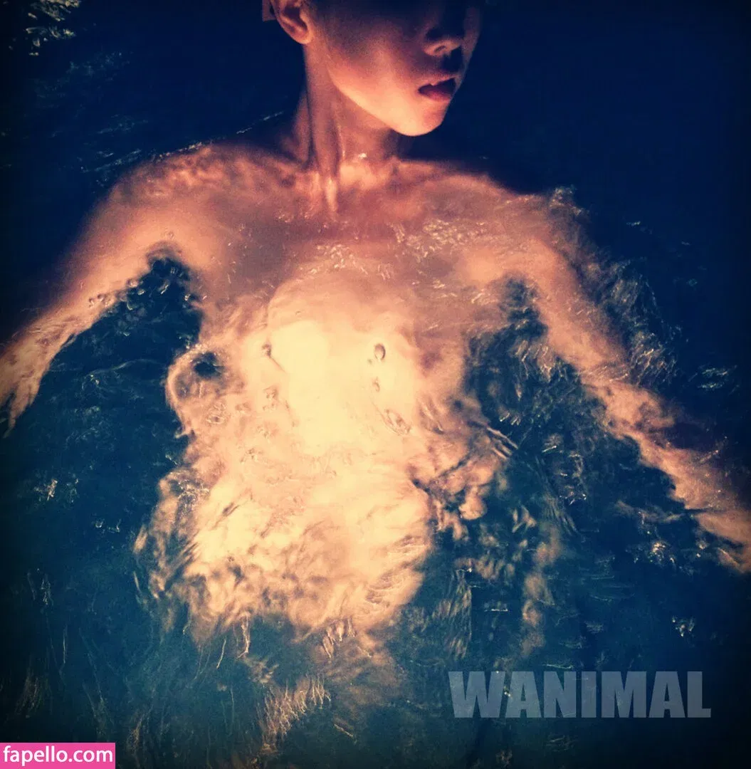 Wanimal Models Onlyfans Photo Gallery 