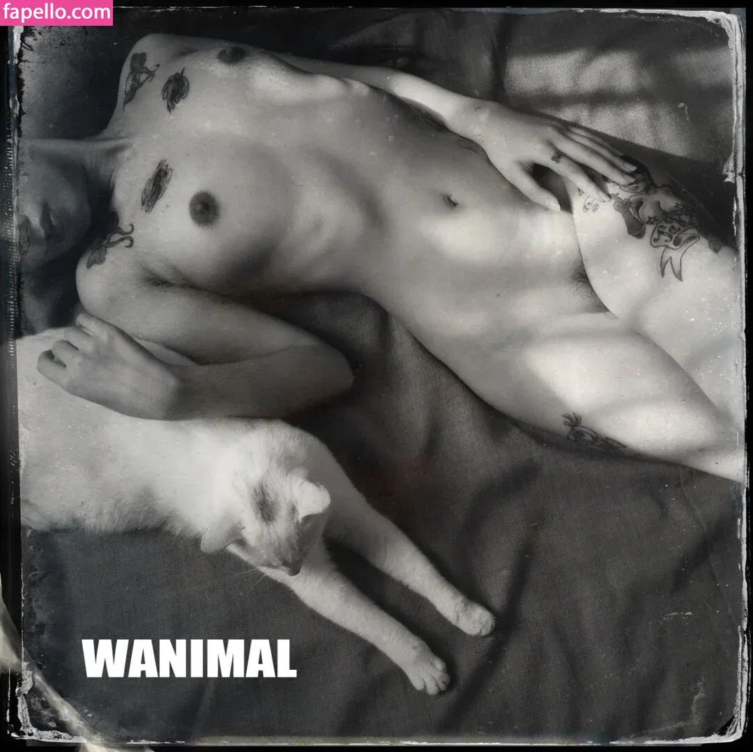Wanimal Models Onlyfans Photo Gallery 