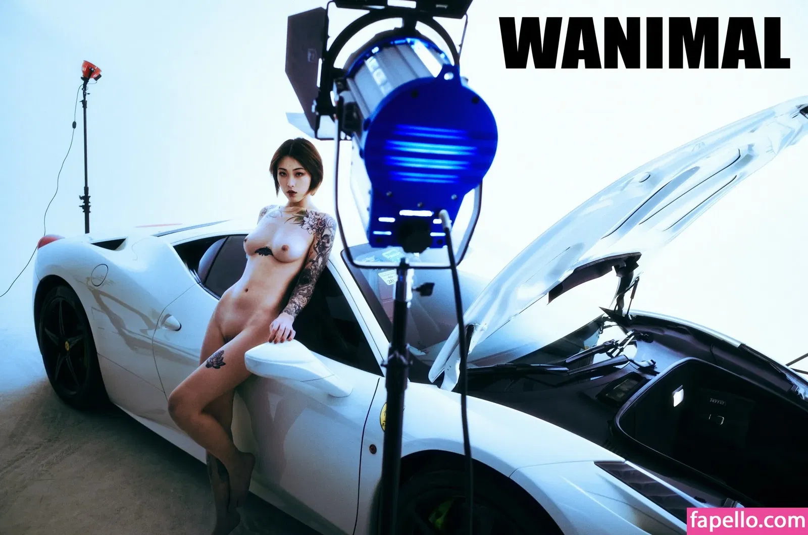 Wanimal Models Onlyfans Photo Gallery 