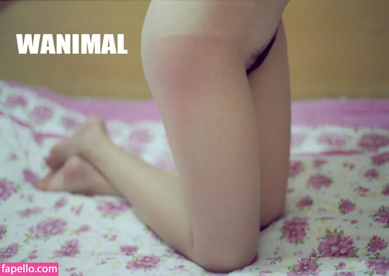 Wanimal Models Onlyfans Photo Gallery 