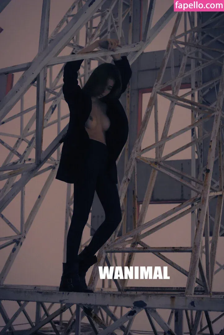 Wanimal Models Onlyfans Photo Gallery 