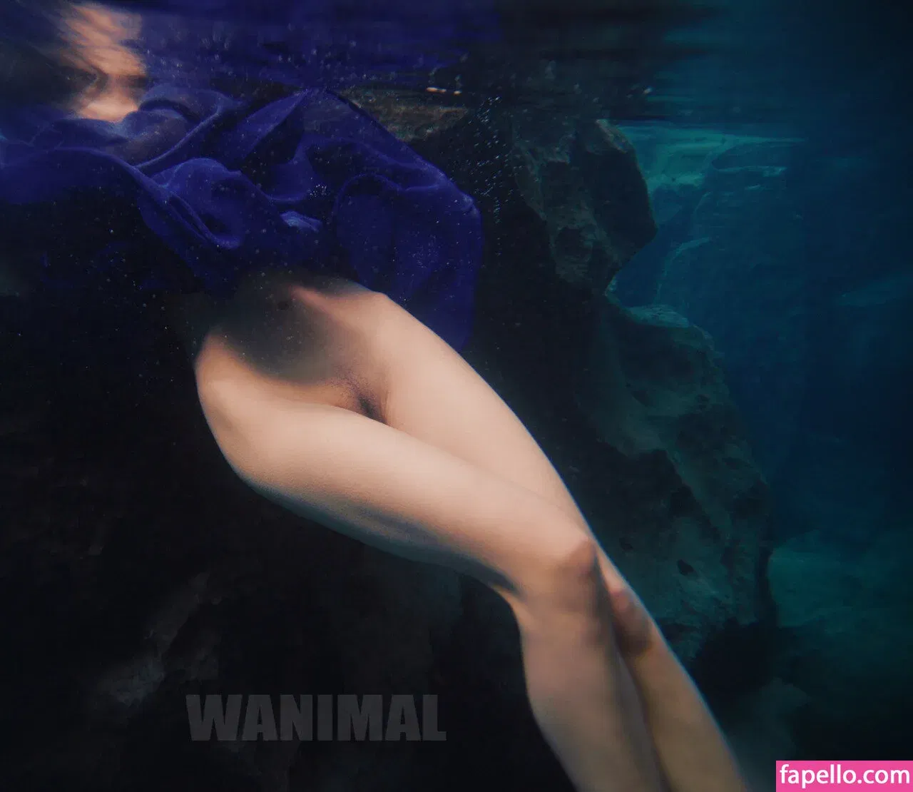 Wanimal Models Onlyfans Photo Gallery 