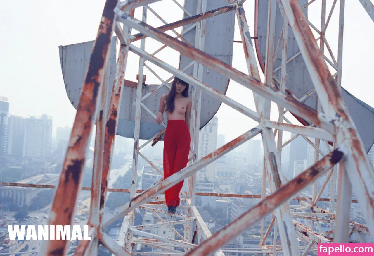 Wanimal Models Onlyfans Photo Gallery 