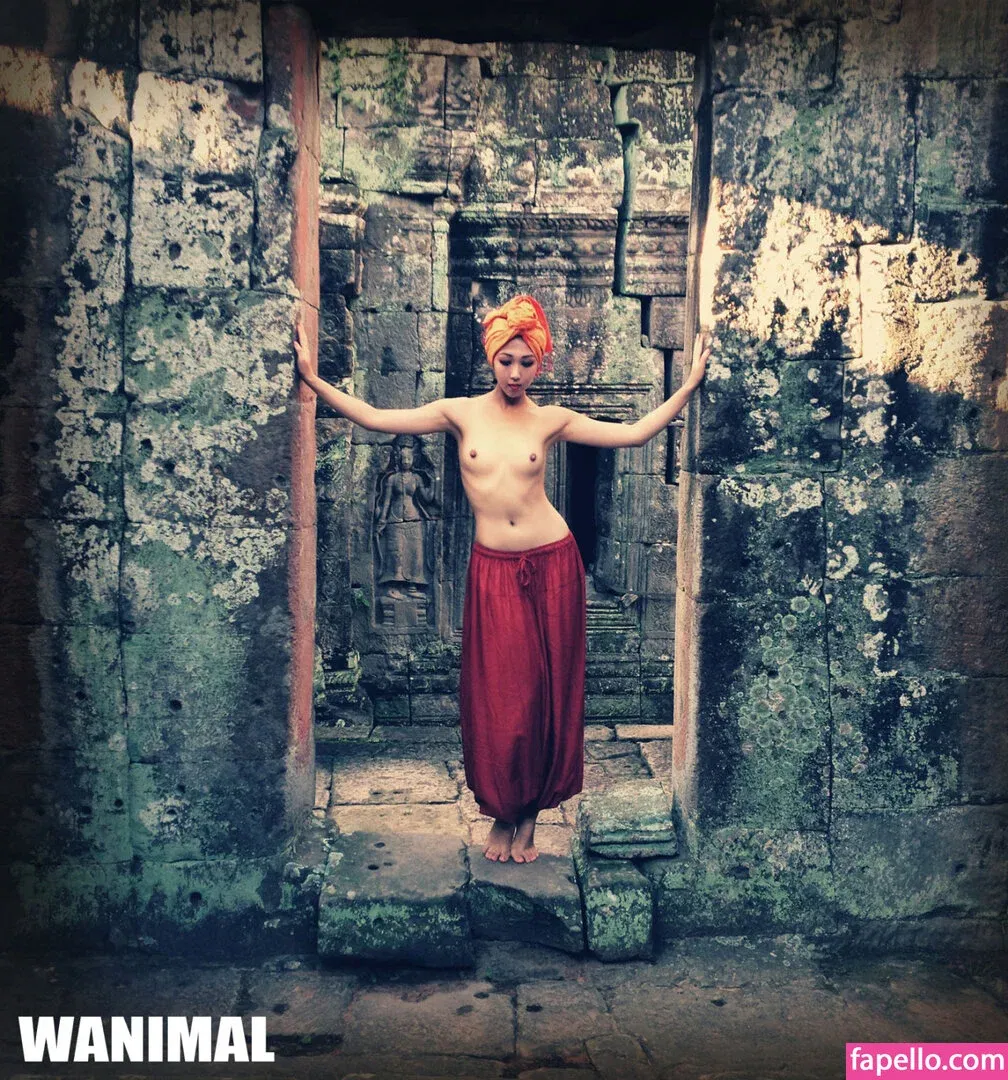 Wanimal Models Onlyfans Photo Gallery 