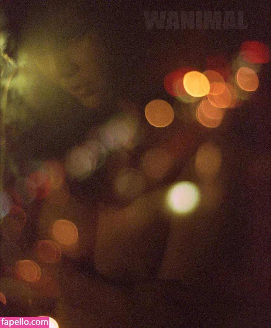 Wanimal Models Onlyfans Photo Gallery 