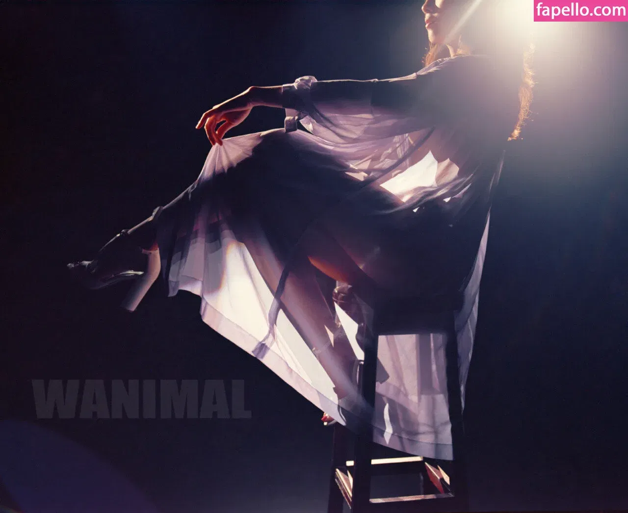 Wanimal Models Onlyfans Photo Gallery 