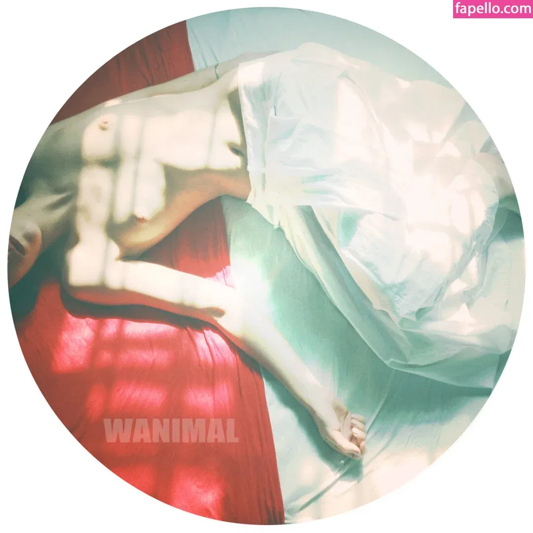 Wanimal Models Onlyfans Photo Gallery 