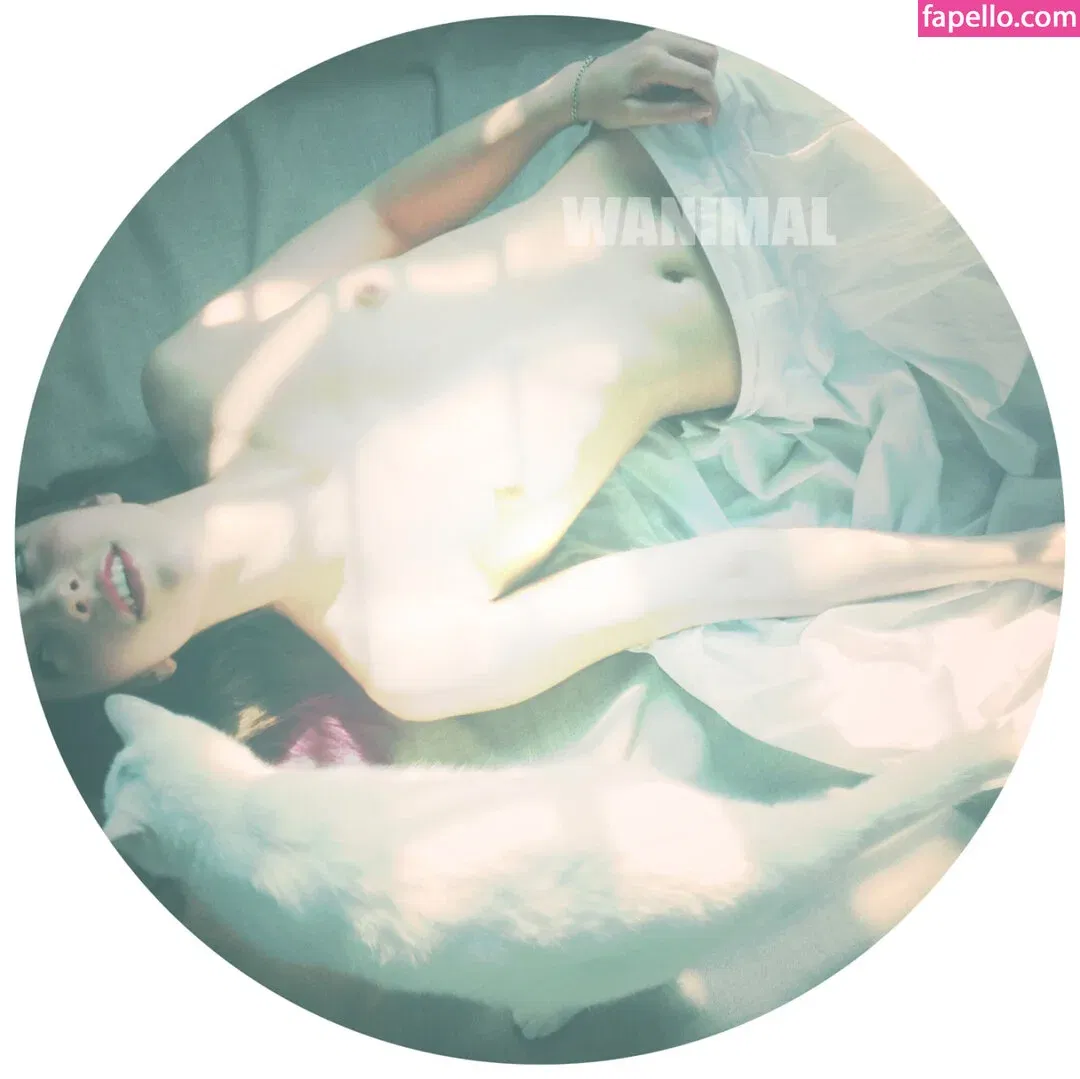 Wanimal Models Onlyfans Photo Gallery 