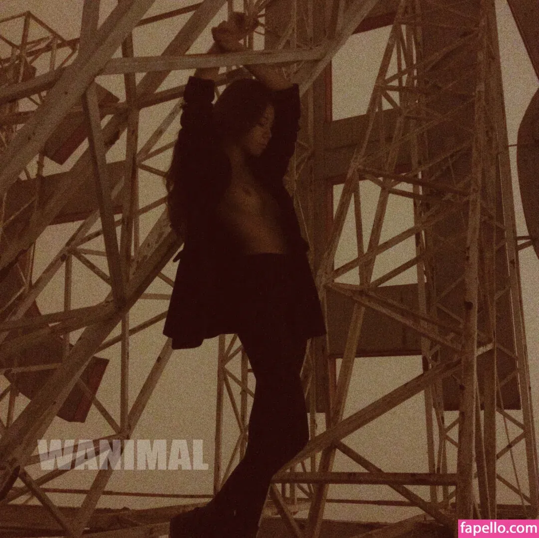 Wanimal Models Onlyfans Photo Gallery 