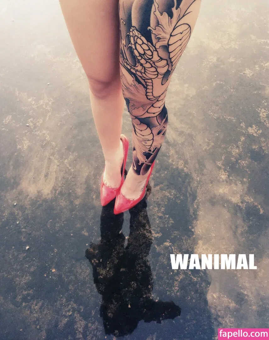 Wanimal Models Onlyfans Photo Gallery 