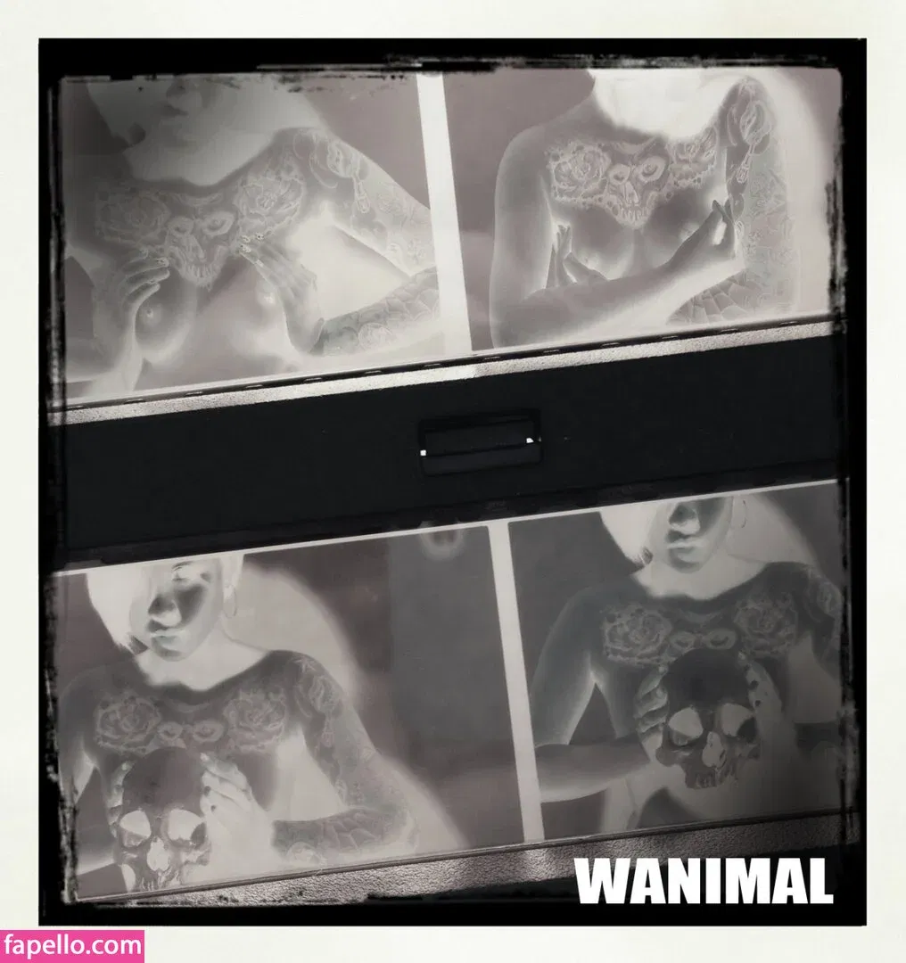 Wanimal Models Onlyfans Photo Gallery 