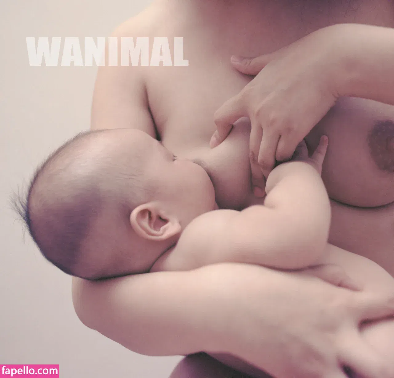 Wanimal Models Onlyfans Photo Gallery 