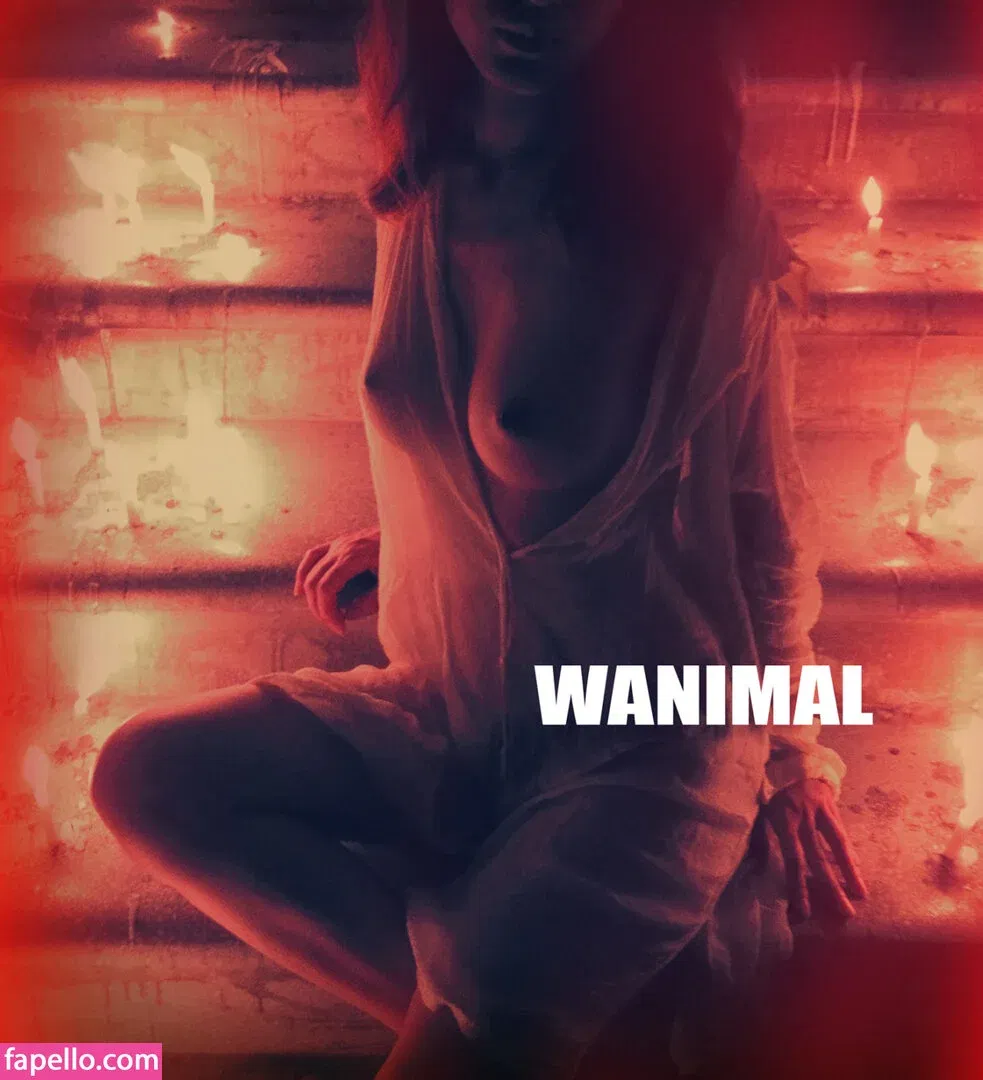 Wanimal Models Onlyfans Photo Gallery 