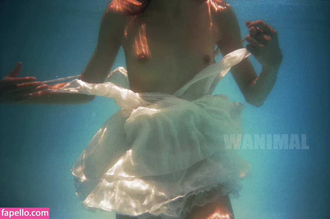 Wanimal Models Onlyfans Photo Gallery 