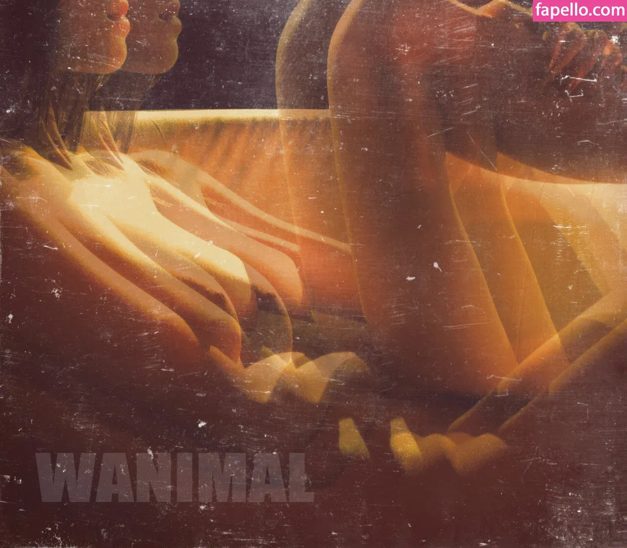 Wanimal Models Onlyfans Photo Gallery 