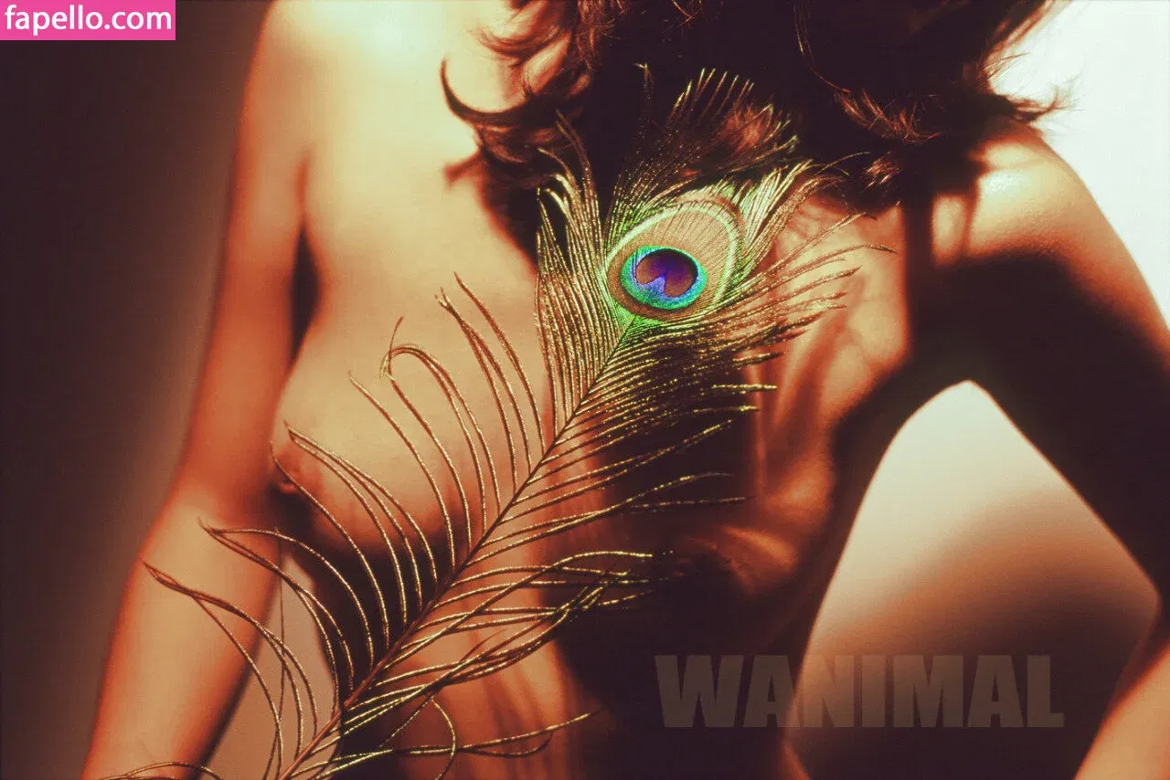 Wanimal Models Onlyfans Photo Gallery 