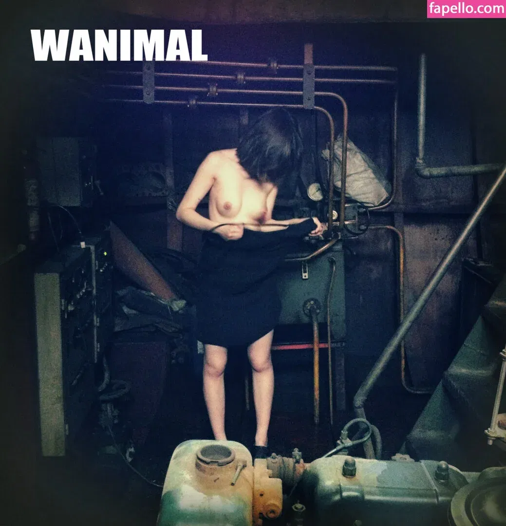 Wanimal Models Onlyfans Photo Gallery 