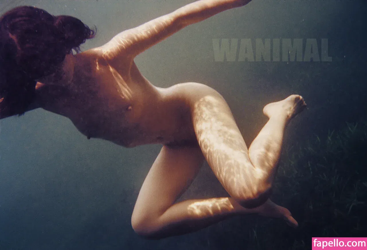 Wanimal Models Onlyfans Photo Gallery 