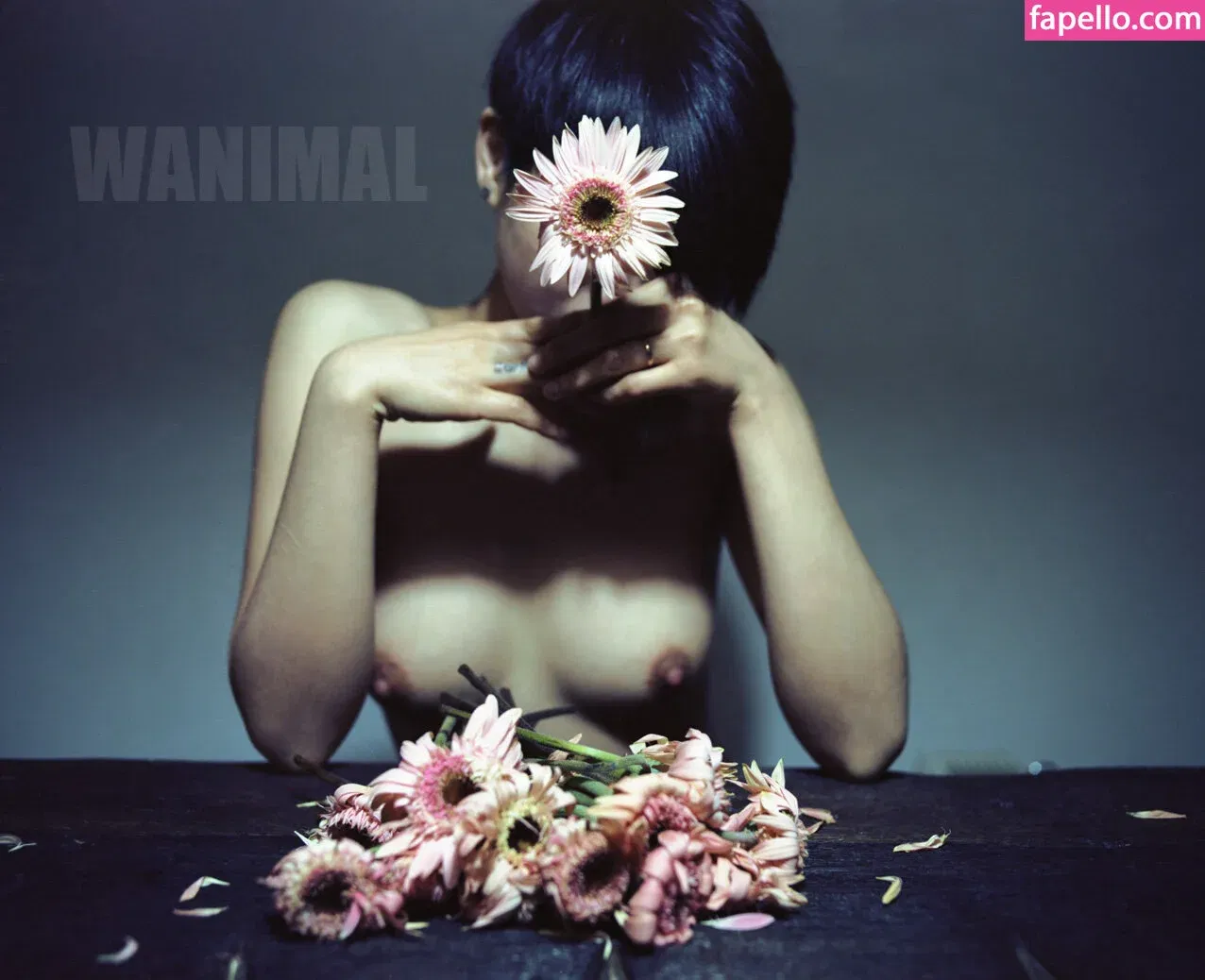 Wanimal Models Onlyfans Photo Gallery 