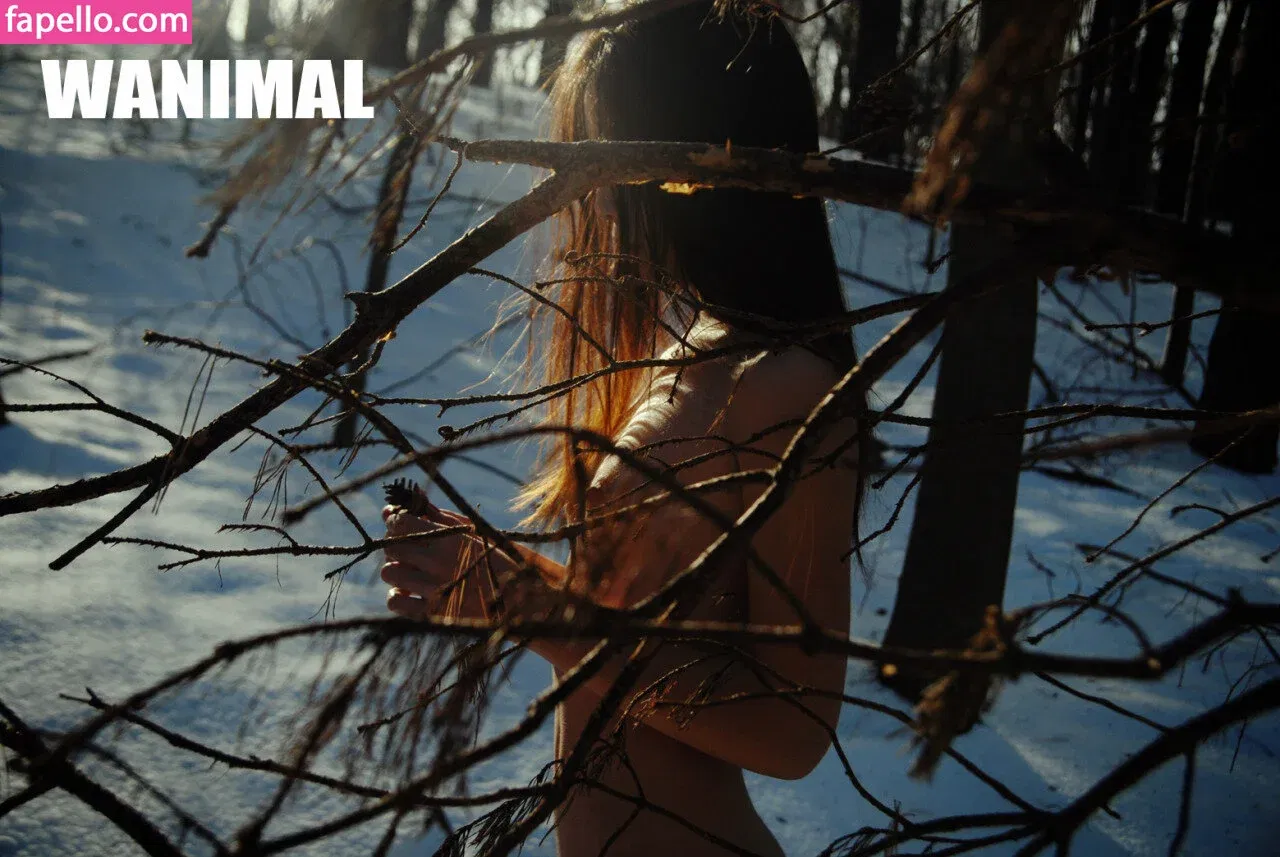 Wanimal Models Onlyfans Photo Gallery 