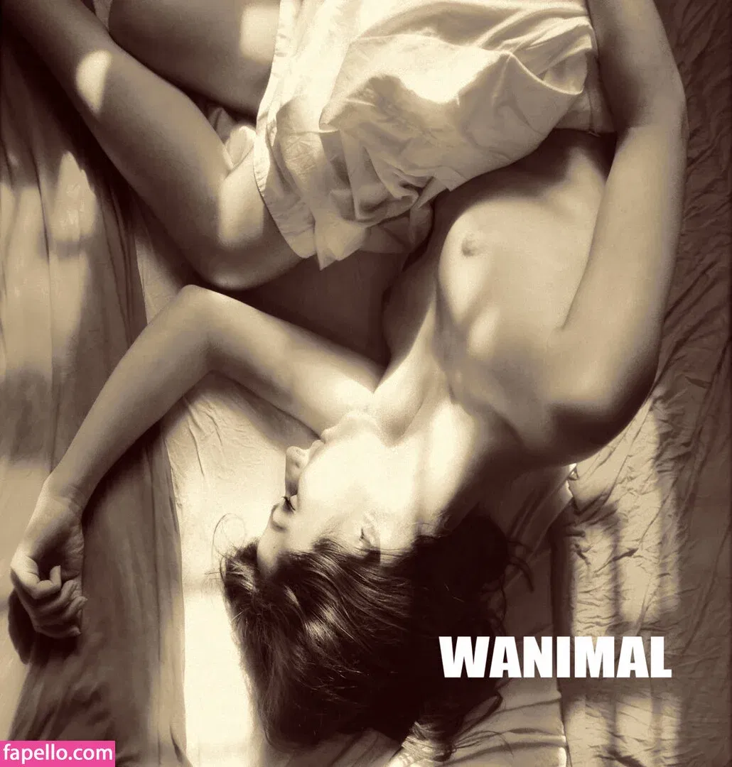 Wanimal Models Onlyfans Photo Gallery 