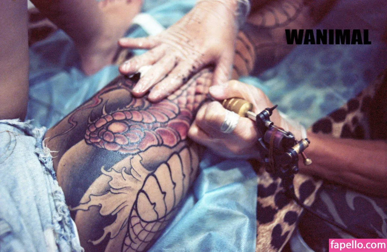 Wanimal Models Onlyfans Photo Gallery 