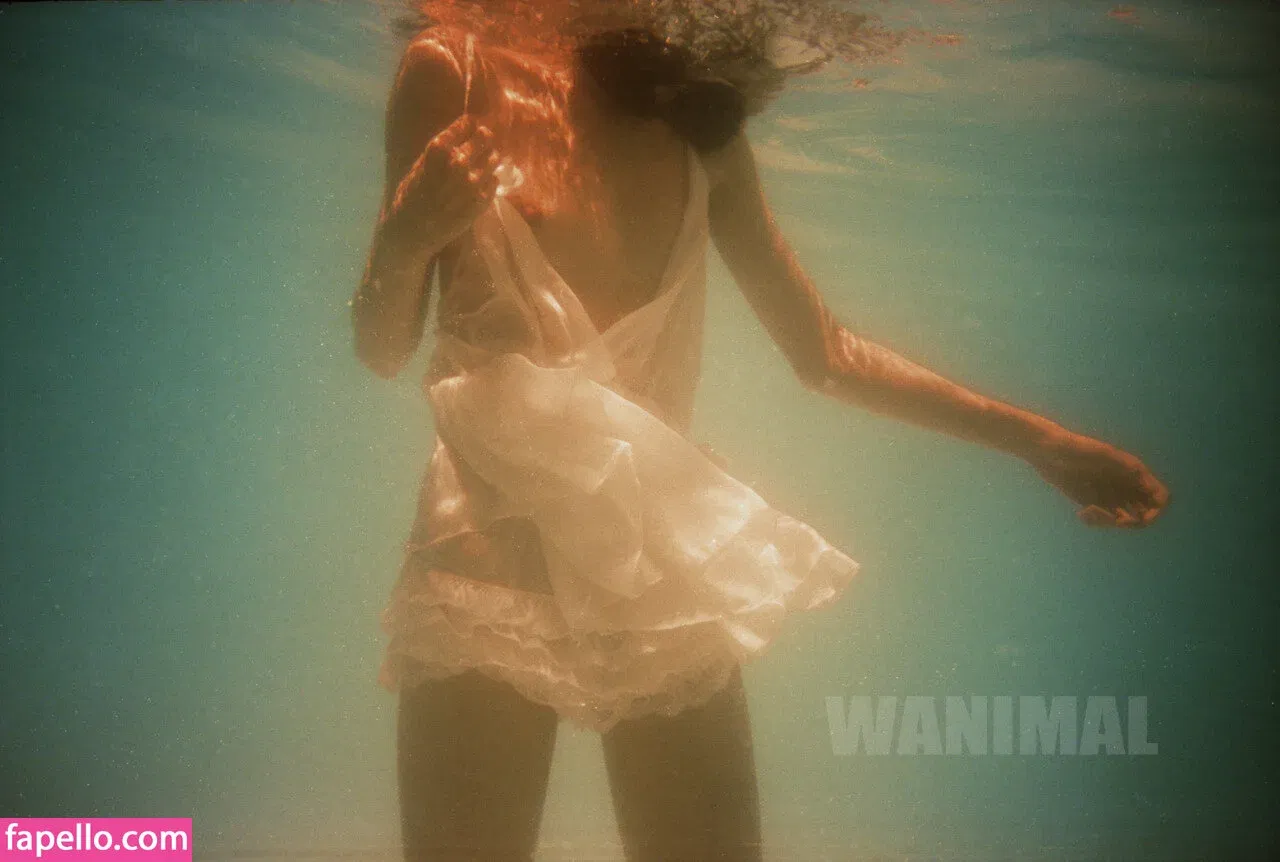 Wanimal Models Onlyfans Photo Gallery 