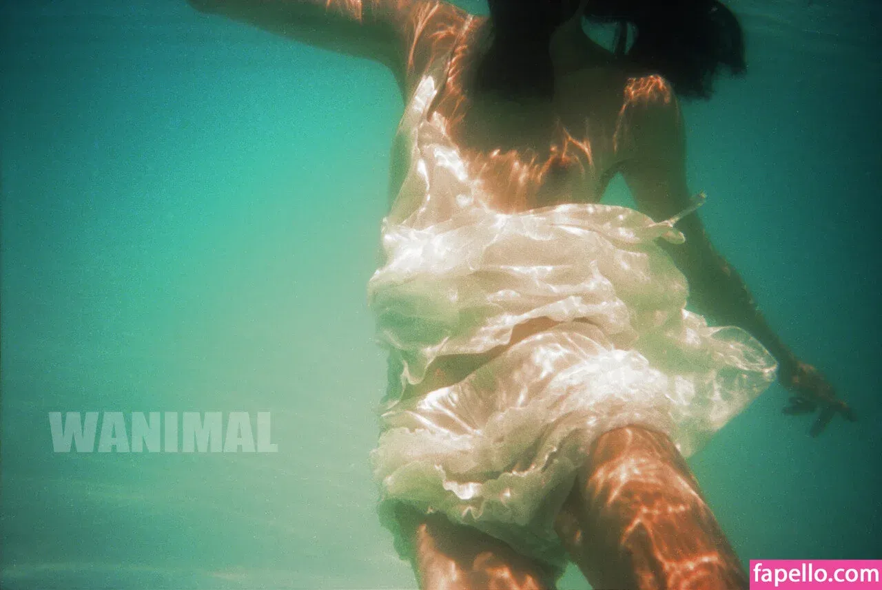 Wanimal Models Onlyfans Photo Gallery 