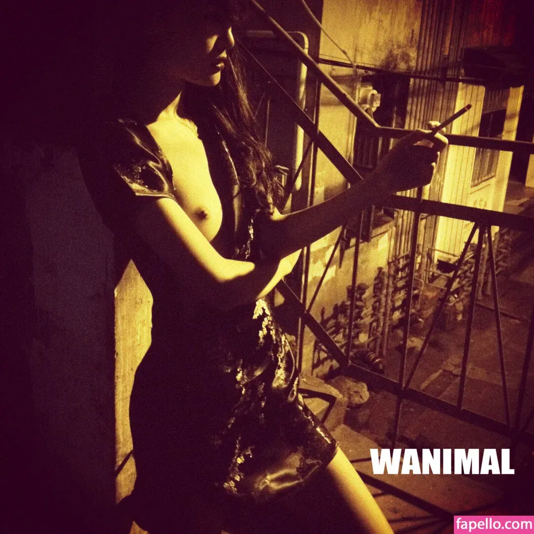 Wanimal Models Onlyfans Photo Gallery 