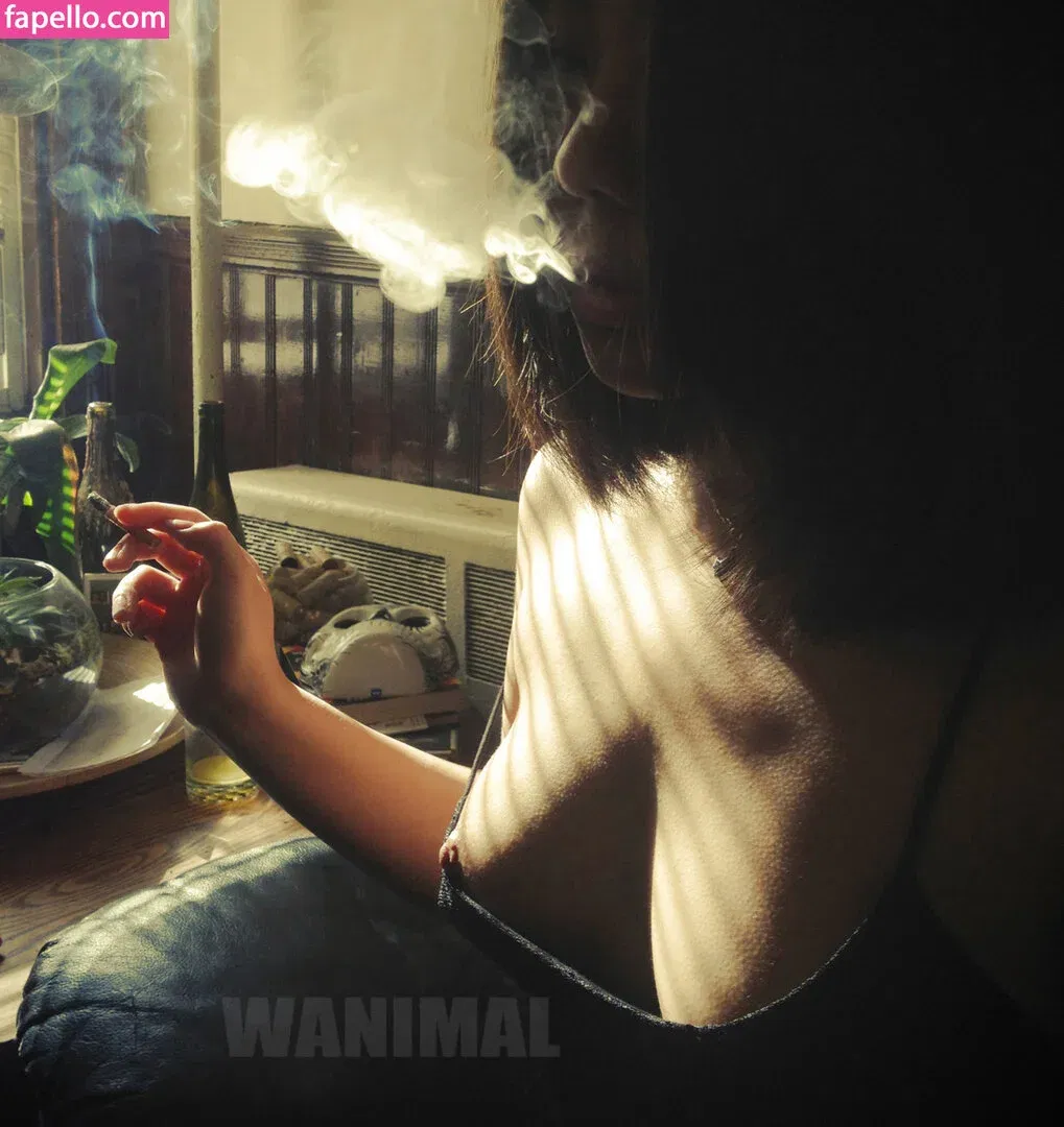 Wanimal Models Onlyfans Photo Gallery 