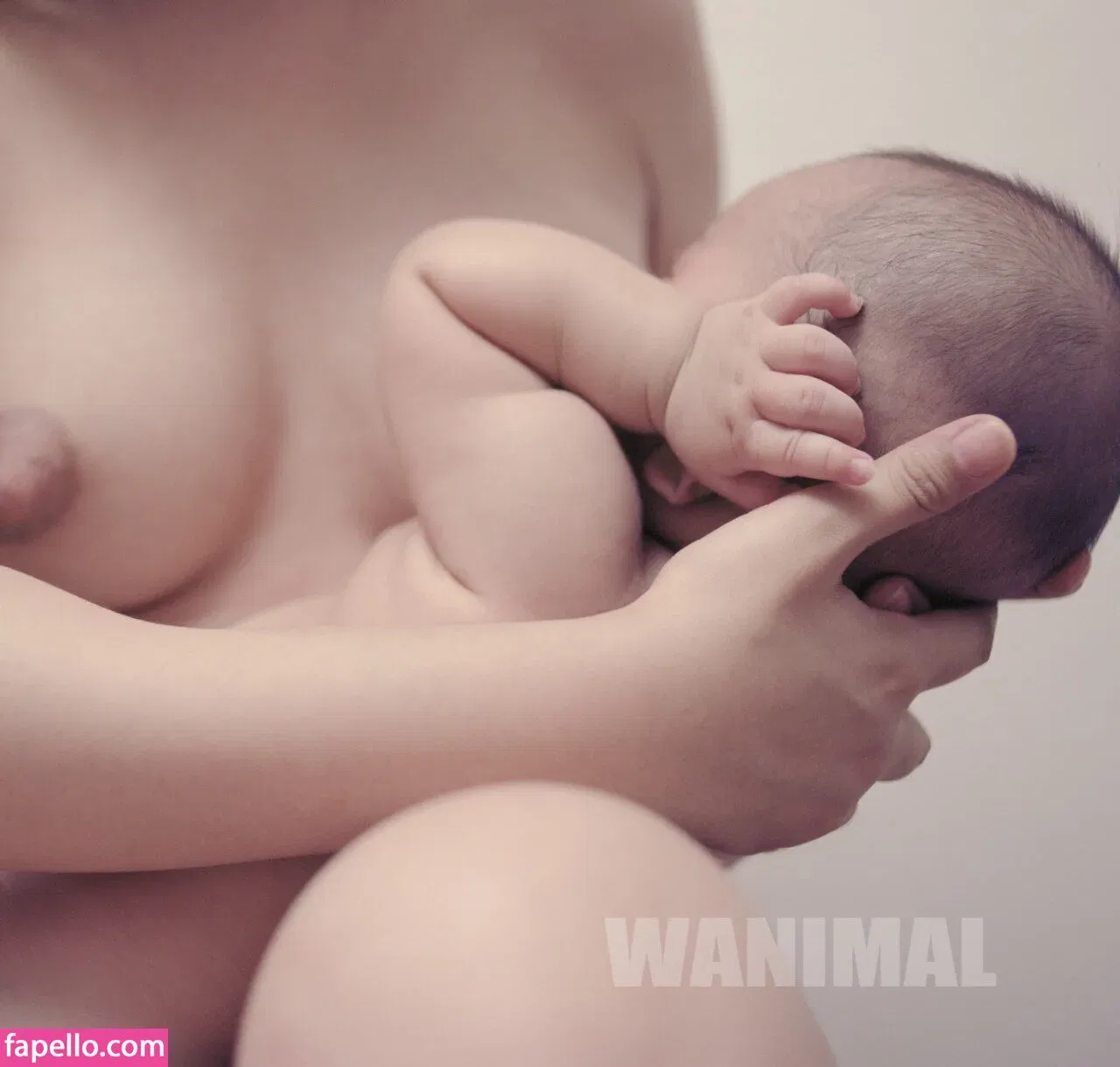 Wanimal Models Onlyfans Photo Gallery 